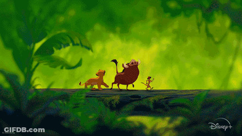 A Poster For The Lion King From Disney GIF