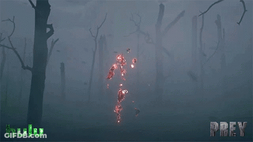A Poster For The Movie Prey Shows A Person Surrounded By Fire GIF
