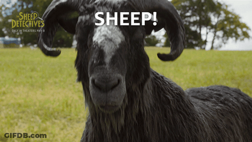 A Poster For The Movie Sheep Detectives With A Black Goat GIF