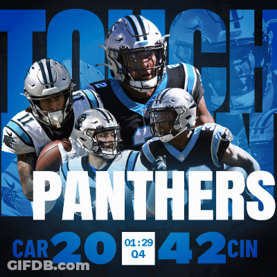 A Poster For The Panthers Shows A Group Of Players GIF