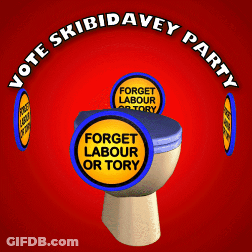 A Poster For The Skibidavey Party With A Toilet GIF
