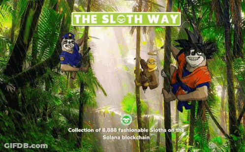 A Poster For The Sloth Way Shows A Collection Of 8,888 Fashionable Sloths GIF