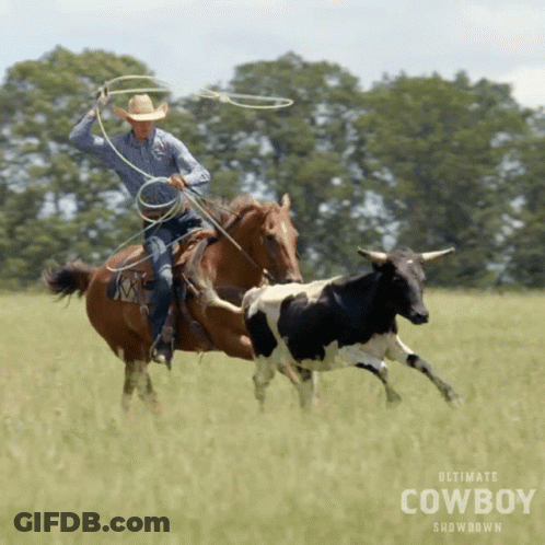 A Poster For The Ultimate Cowboy Showdown Shows A Cowboy Roping A Bull GIF