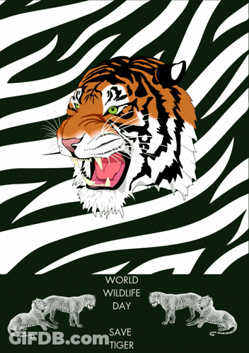 A Poster For World Wildlife Day With A Tiger GIF