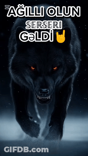 A Poster Of A Black Wolf With Red Eyes And The Words Agilli Olsun Serseri Geldi GIF