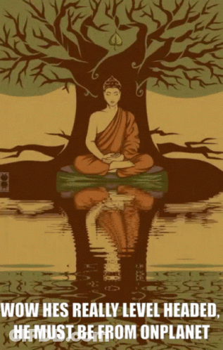 A Poster Of A Buddha Sitting Under A Tree With The Words Wow Hes Really Level Headed He Must Be From Onplanet GIF