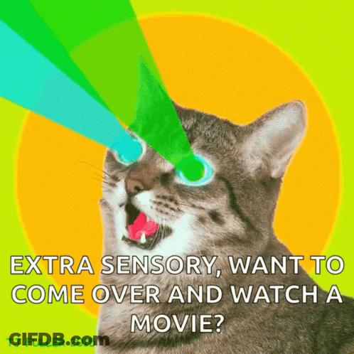A Poster Of A Cat That Says " Extra Sensory Want To Come Over And Watch A Movie ? " GIF