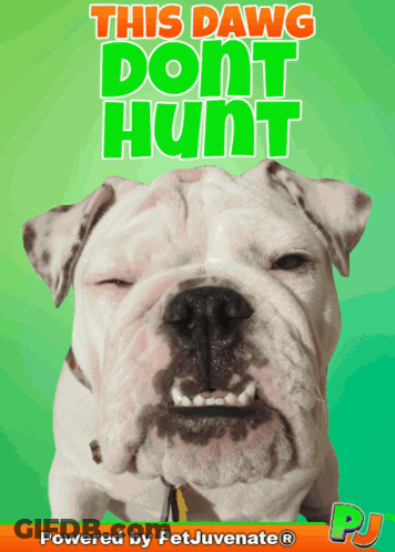 A Poster Of A Dog With The Words " This Dawg Dont Hunt " On It GIF