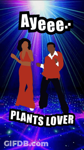 A Poster Of A Man And A Woman Dancing With Ayeee Plants Lover Written On The Bottom GIF
