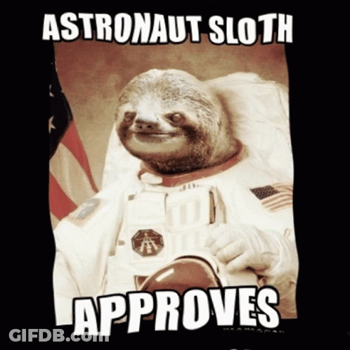 A Poster Of An Astronaut Sloth That Approves GIF