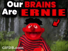 A Poster Of Ernie From Sesame Street With The Words " Our Brains Are Ernie " Above Him GIF