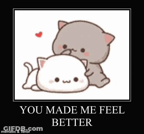 A Poster Of Two Cats Laying Next To Each Other With The Words `` You Made Me Feel Better '' . GIF