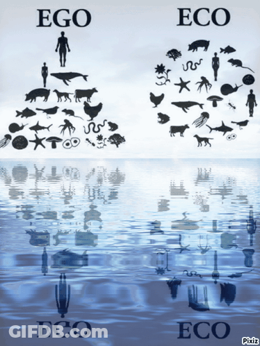 A Poster Showing Ego And Eco With A Reflection Of A Body Of Water GIF