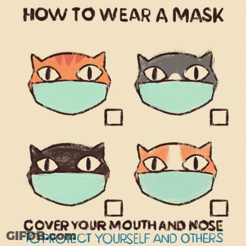 A Poster Showing How To Wear A Mask On Cats GIF