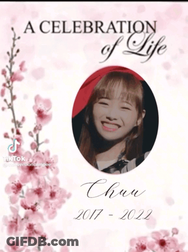 A Poster That Says A Celebration Of Life GIF