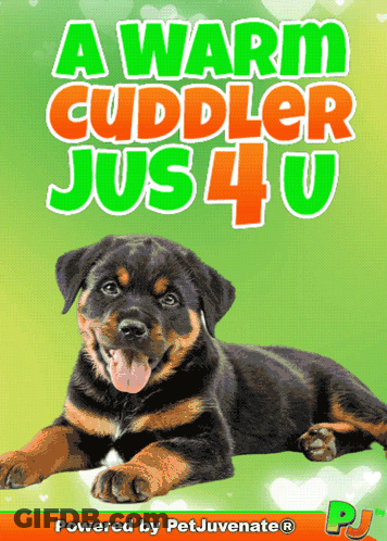A Poster That Says A Warm Cuddler Jus 4 U With A Picture Of A Dog GIF