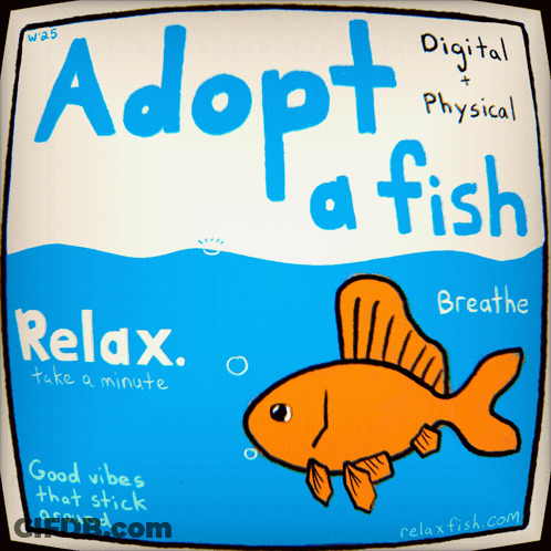 A Poster That Says Adopt A Fish And Relax GIF
