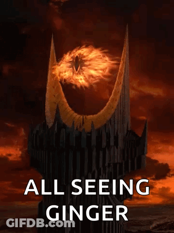 A Poster That Says All Seeing Ginger With A Picture Of An Eye GIF