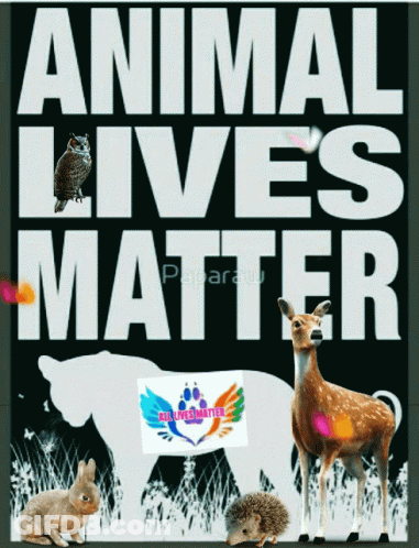 A Poster That Says Animal Lives Matter With Animals In The Background GIF