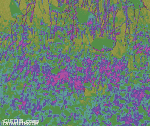 A Poster That Says Another Manic Monday On A Colorful Background GIF