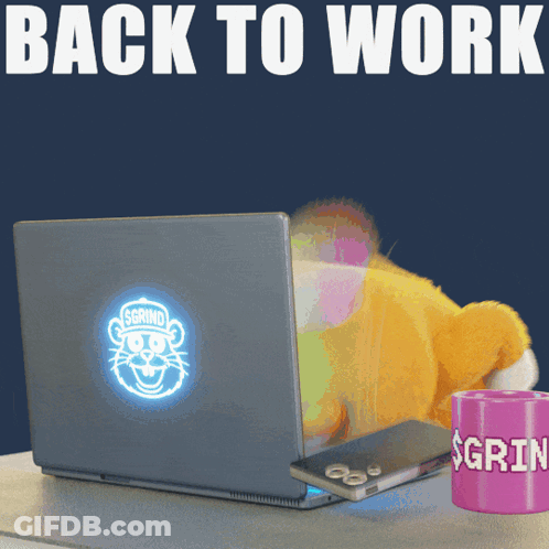 A Poster That Says Back To Work With A Laptop And A Cat GIF
