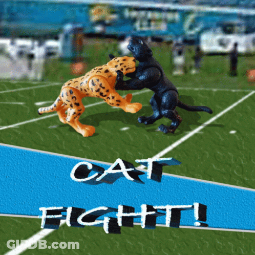 A Poster That Says Cat Fight On It With Two Cheetahs On A Football Field GIF
