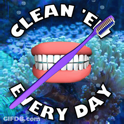A Poster That Says Clean ' E ' Every Day With A Purple Toothbrush GIF