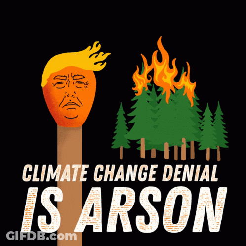 A Poster That Says Climate Change Denial Is Arson With A Trump Face On A Match GIF