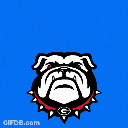 A Poster That Says Dawgs Vote Early With A Picture Of A Bulldog GIF