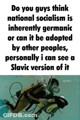 A Poster That Says Do You Guys Think National Socialism Is Inherently Germanic Or Can It Be Adopted By Other Peoples GIF
