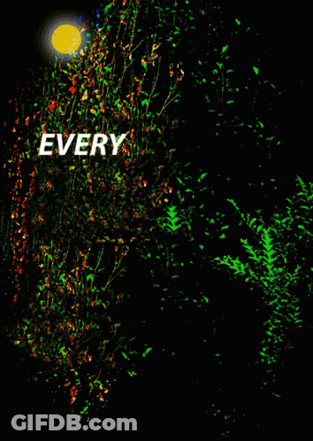 A Poster That Says Everyday Is A New Beginning Take A Deep Breath And Start Again GIF