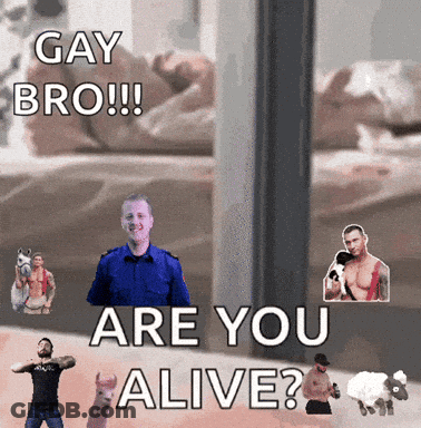 A Poster That Says Gay Bro Are You Alive On It GIF