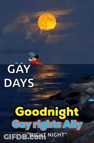 A Poster That Says " Gay Days Goodnight Gay Rights Ally Night Night " GIF