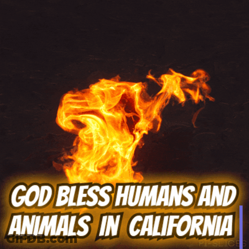 A Poster That Says God Bless Humans And Animals GIF