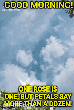 A Poster That Says Good Morning One Rose Is One But Petals Say More Than A Dozen .. GIF
