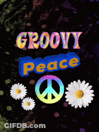 A Poster That Says Groovy Peace With Daisies GIF