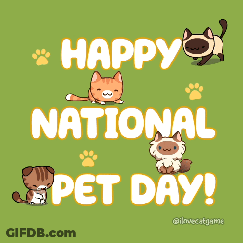 A Poster That Says Happy National Pet Day With Cats On It GIF