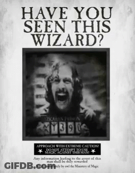 A Poster That Says " Have You Seen This Wizard " GIF