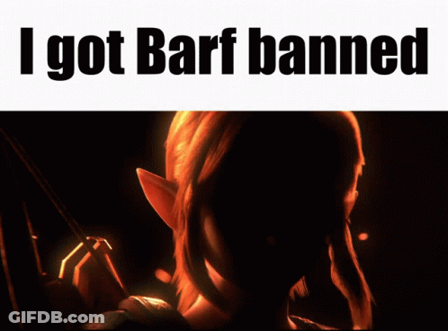 A Poster That Says I Got Barf Banned With A Fire Background GIF