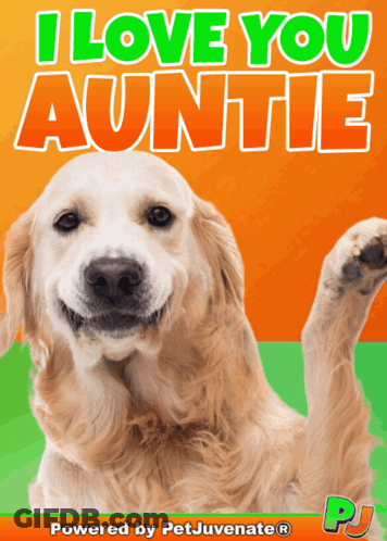 A Poster That Says I Love You Auntie GIF