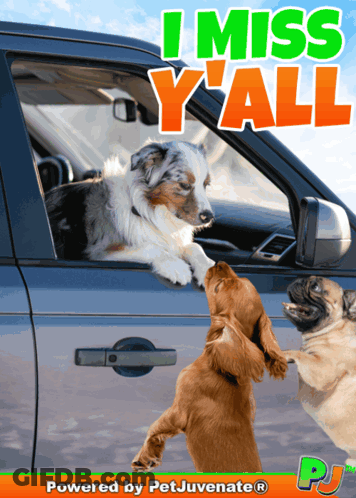 A Poster That Says I Miss Y'all On The Top GIF