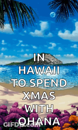 A Poster That Says " In Hawaii To Spend Xmas With Ohana " On It GIF