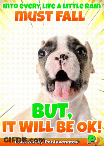 A Poster That Says " Into Every Life A Little Rain Must Fall " And " But It Will Be Ok " GIF