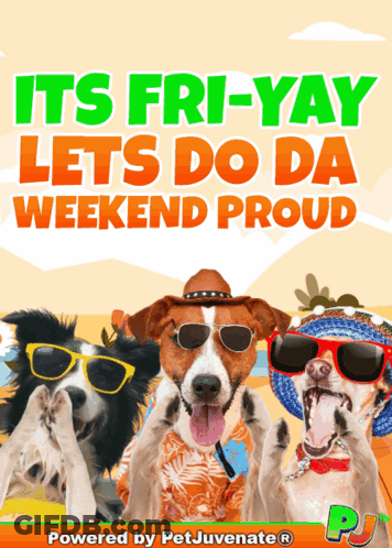 A Poster That Says It 'S Fri-Yay Lets Do Da Weekend Proud With Three Dogs Wearing Sunglasses GIF