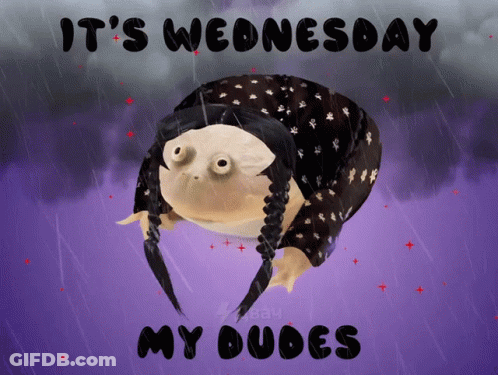 A Poster That Says It 'S Wednesday My Dudes With A Frog GIF
