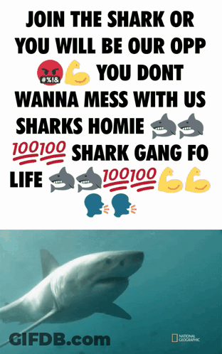 A Poster That Says Join The Shark Or You Will Be Our Opp On It GIF