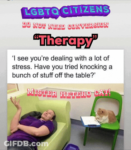 A Poster That Says ' Lgbt To Citizens Do Not Need Conversion Therapy ' GIF