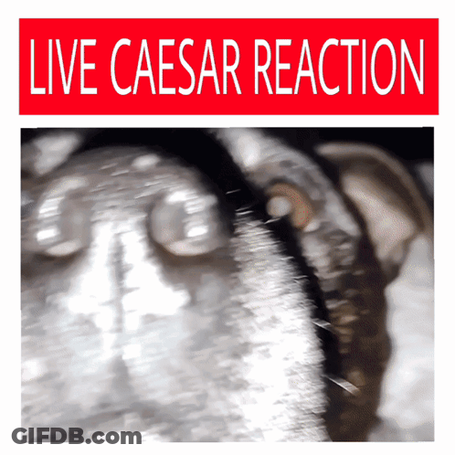 A Poster That Says Live Caesar Reaction With A Blurry Image GIF