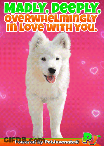 A Poster That Says Madly Deeply Overwhelmingly In Love With You On It GIF