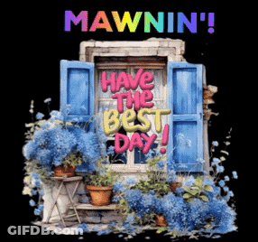 A Poster That Says Mawnin ' And Has A Window With Blue Shutters GIF